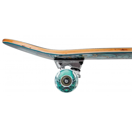 σανιδα skateboard, ολοκληρωμένο skateboard, complete skateboard
