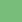 Mantis Green (HRV-362)