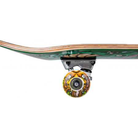 σανιδα skateboard, ολοκληρωμένο skateboard, complete skateboard